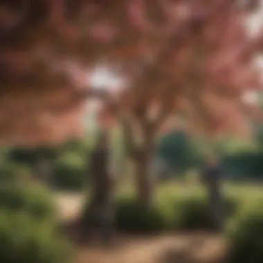 A gardener inspecting the vibrant foliage of a low maintenance peach tree, emphasizing ease of care.