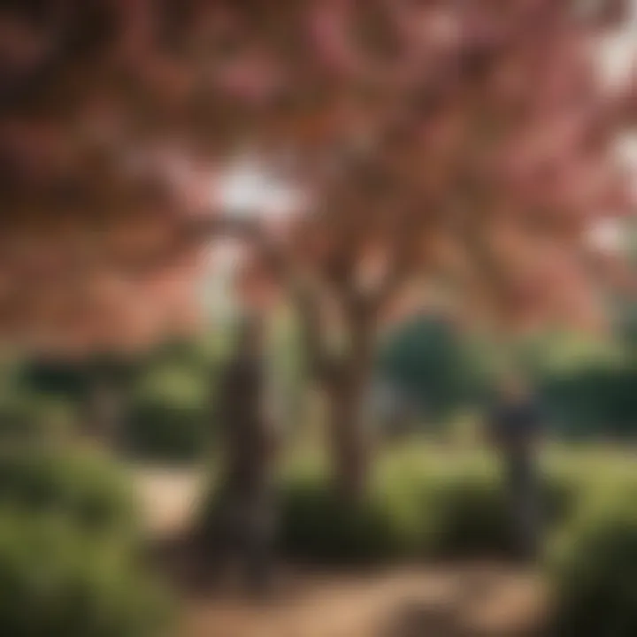 A gardener inspecting the vibrant foliage of a low maintenance peach tree, emphasizing ease of care.