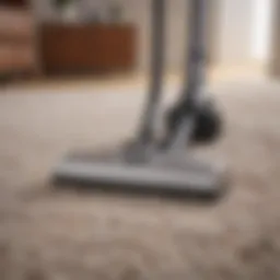 Powerful vacuum cleaner designed for effective hair removal from carpets.