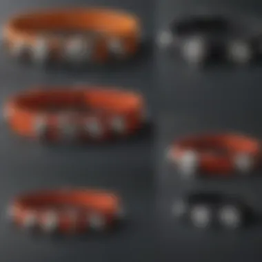 Illustration of various types of buzzer collars available on the market