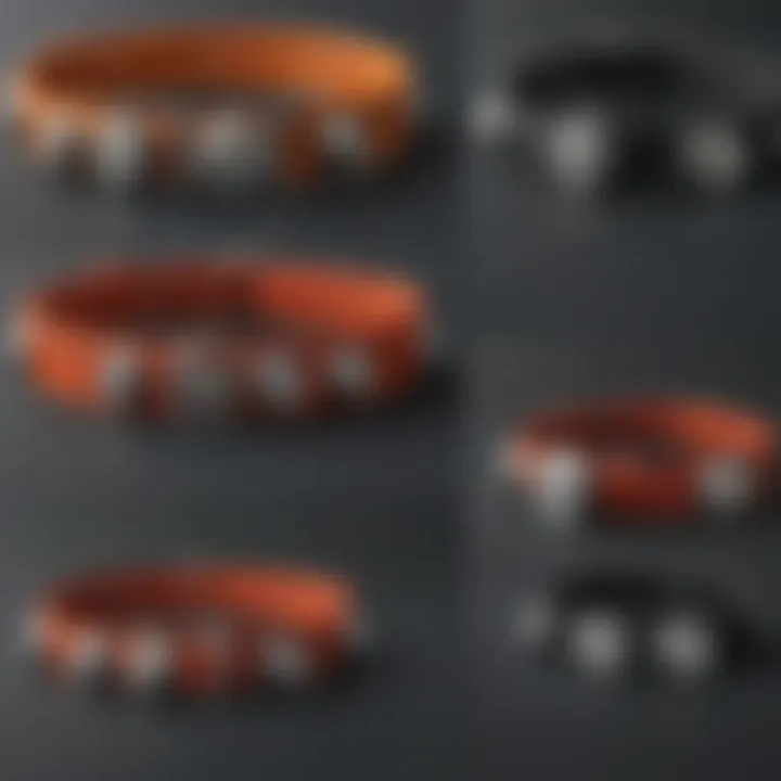 Illustration of various types of buzzer collars available on the market