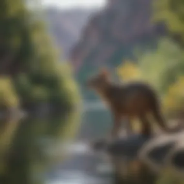 Close-up of native wildlife thriving in the lush habitats around Canyon Lake