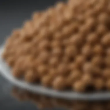 Close-up of Chewy Royal Canin medium dog food kibble showcasing its texture and shape