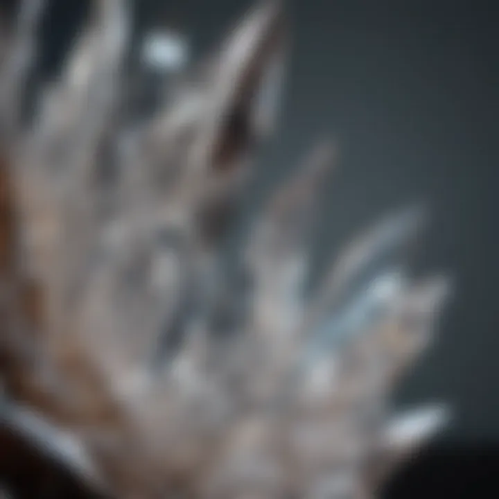 Close-up view of a quartz crystal highlighting its intricate facets and clarity