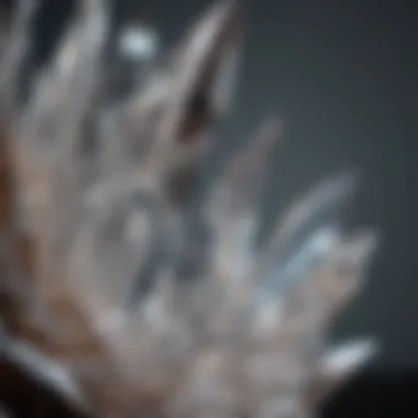 Intricate Quartz Facets Close-up view of a quartz crystal highlighting its intricate facets and clarity