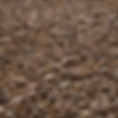 Close-up of clumping litter demonstrating absorbency