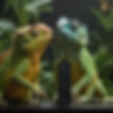 Monitoring Temperature and Humidity for Chameleons Thermometer and hygrometer displaying optimal temperature and humidity levels for chameleons.