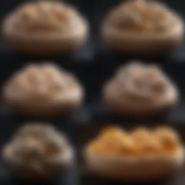 Visual representation of different incubator types suitable for ball python eggs