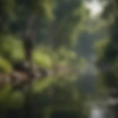 An angler casting a line in a lush green riverbank