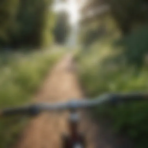 Lush landscape along the Coyote Bike Trail showcasing diverse flora.