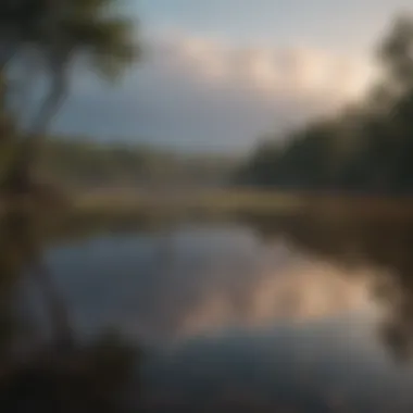 An impressive view of a Texas lake popular for hunting activities.