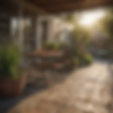 Safe Enjoyment: Patios Without Bees Safe practices to enjoy patios without bees