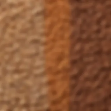 A visual comparison of lentils and various types of beans displayed side by side