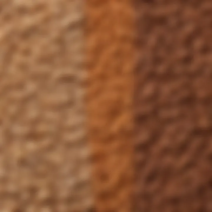 A visual comparison of lentils and various types of beans displayed side by side