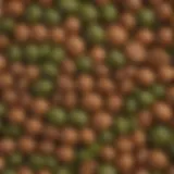 Close-up of green and brown lentils showcasing their unique textures and colors