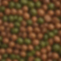Close-up of green and brown lentils showcasing their unique textures and colors