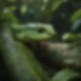 A vibrant green tree snake camouflaged among lush foliage