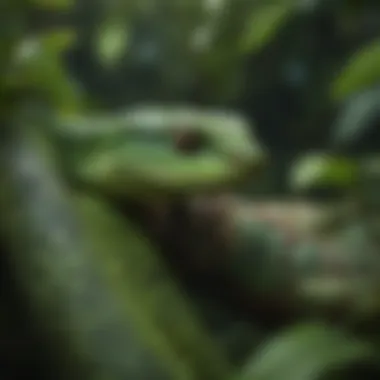 Camouflage in the Canopy A vibrant green tree snake camouflaged among lush foliage
