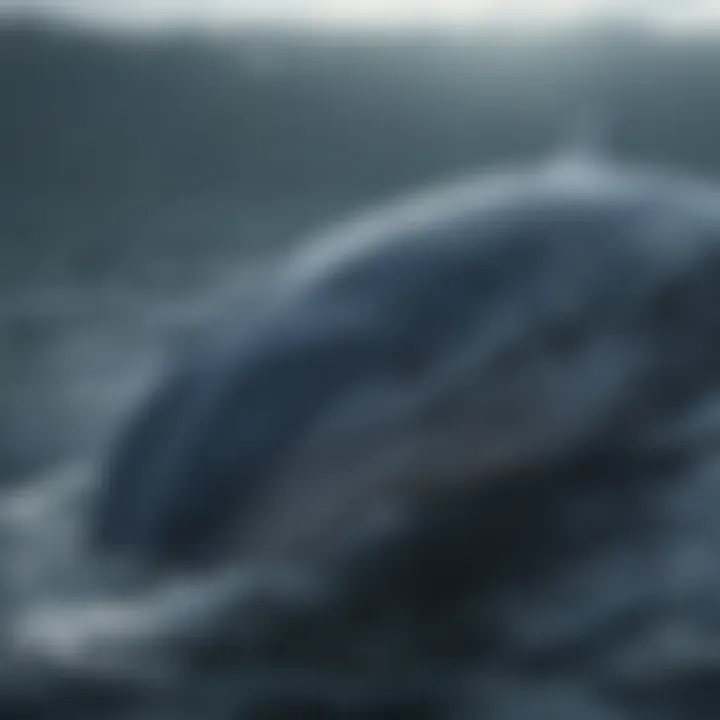 A vibrant blue whale swimming gracefully