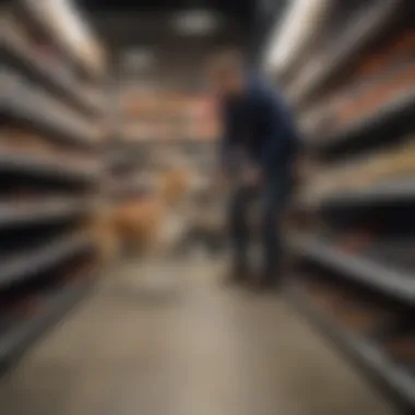 Dog owner selecting anti-dig shoes for their pet in a pet store