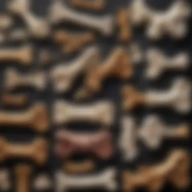 Nutritional Analysis of Dog Bones Nutritional analysis of different dog bones displayed visually