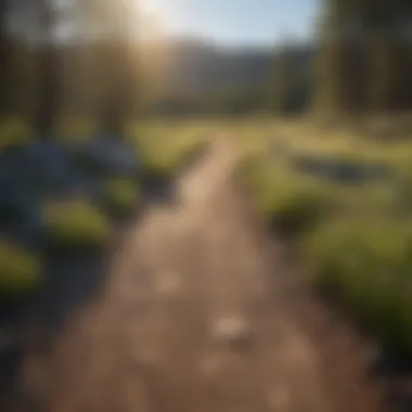 Scenic trail leading to Big Lake, showcasing local flora.