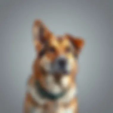 Portrait of a Majestic Canine Majestic big dog posing for a portrait