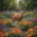 Vibrant deer-resistant annual flowers in a lush garden setting.