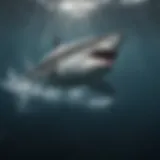 Majestic great white shark gliding through ocean depths