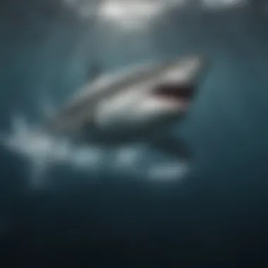 Great White Shark in Its Natural Habitat Majestic great white shark gliding through ocean depths