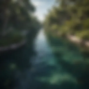 Aerial view of Florida's underwater park showcasing coastline