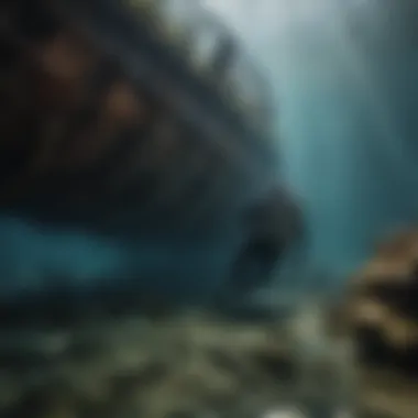 A diver exploring a submerged shipwreck