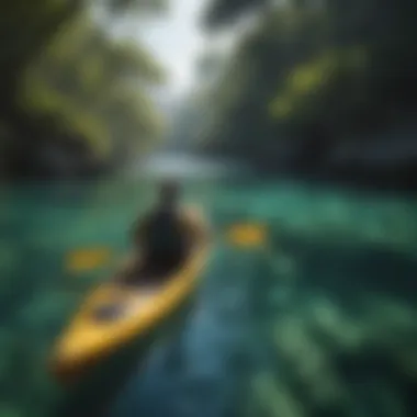 Kayaking Adventure Kayaking through crystal-clear waters of a national park