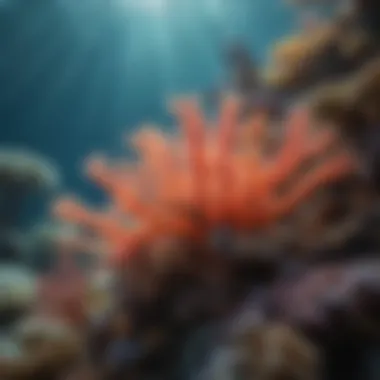 Coral Reef Ecosystem Vibrant coral reef teeming with marine life