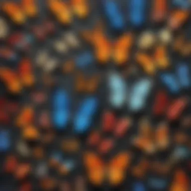 Diversity of Butterfly Species A vibrant collage showcasing various butterfly species from around the world, highlighting their diverse patterns and colors.