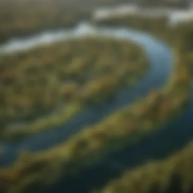 An aerial view of the diverse ecosystems surrounding Lake St. Clair