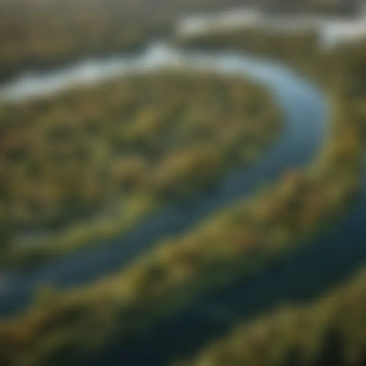 An aerial view of the diverse ecosystems surrounding Lake St. Clair