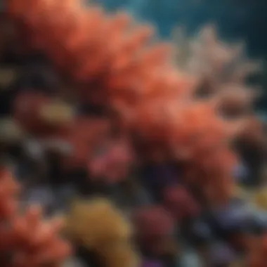 A close-up of a vibrant coral reef, highlighting the intricate details and colors of marine life.