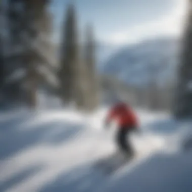 Diverse Slopes Catering to All Skill Levels Skiers of various skill levels enjoying diverse slopes at a New York resort