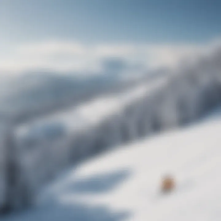 A picturesque view of a skiing resort in New York with snow-covered slopes and pine trees