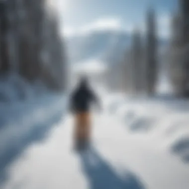 A vibrant scene of winter activities at a New York ski resort, featuring snowboarding and tubing