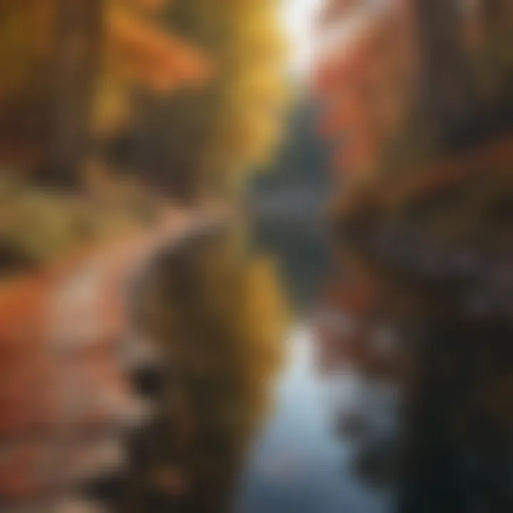A tranquil lake reflecting autumn foliage along a hiking path