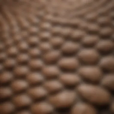 Close-up of a pangolin's scales showcasing their unique texture