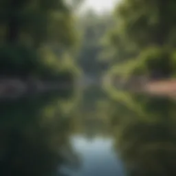 A serene lake surrounded by lush greenery, ideal for fishing