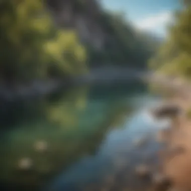 A vibrant river with clear waters, perfect for anglers