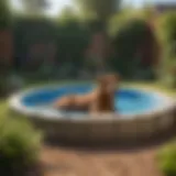 A durable puncture proof dog pool in a garden setting