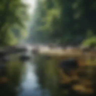 A serene river surrounded by lush greenery