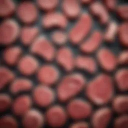 A selection of raw meats suitable for dog diets