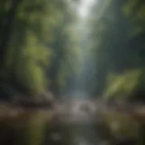 Exploring the Best Parks in West Virginia Introduction