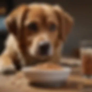 Dog Enjoying Prescription Food A dog enjoying a bowl of prescription dog food